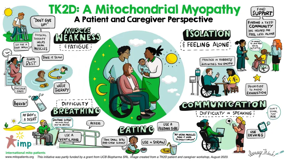 An ImageThink patient journey map for TK2D, Mitochondrial Myopathy
